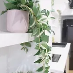 La Casa Del Chic 카베스타니