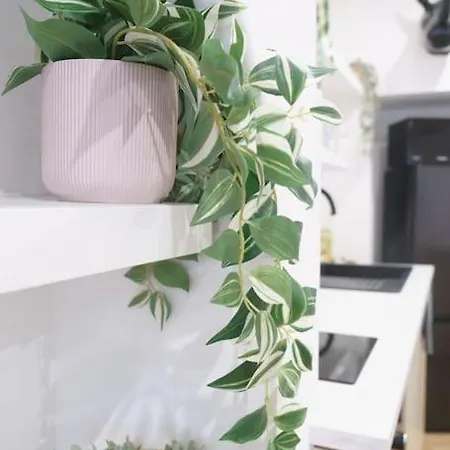 La Casa Del Chic Cabestany