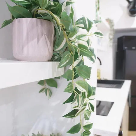 Διαμέρισμα La Casa Del Chic *